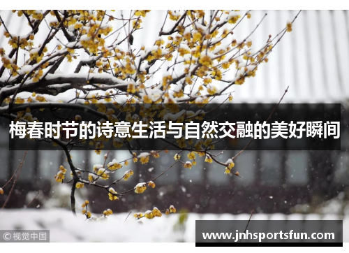 梅春时节的诗意生活与自然交融的美好瞬间