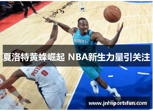夏洛特黄蜂崛起 NBA新生力量引关注